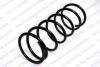 ROC CS2411 Coil Spring